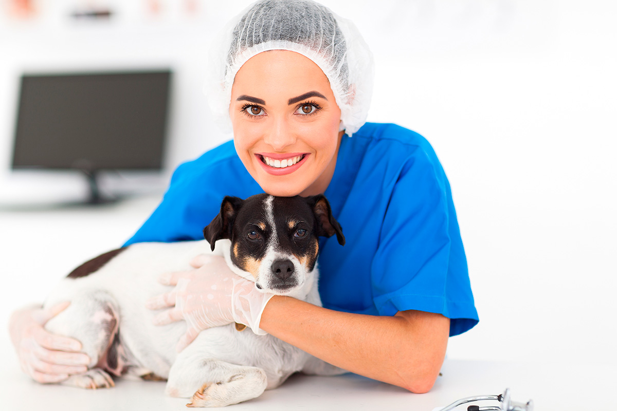 Auxiliar de clínica veterinaria - ACV