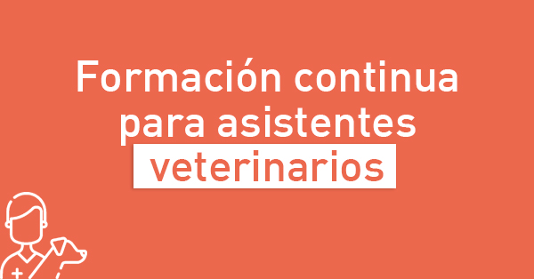 Banner formaci&oacute;n veterinaria